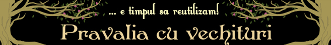 http://www.supersale.ro/blog/wp-content/themes/supersale-blog/img/banner_pravalia_657x90.jpg