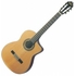 WASHBURN - C104SCE B-STOCK