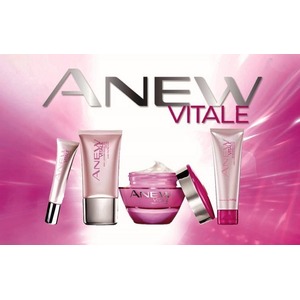 Set Anew Vitale