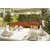 HOTEL ALEXANDROS